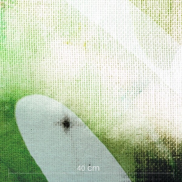 Wallpaper collection - Botanic Garden