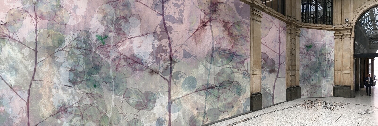 Wallpaper collection - Botanic Garden