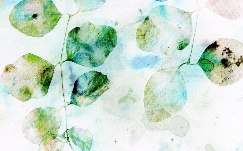 Wallpaper collection - Botanic Garden