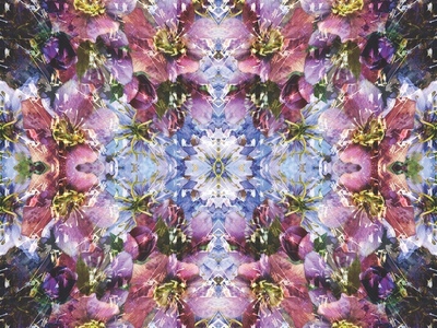 Giverny photo on aluminium 