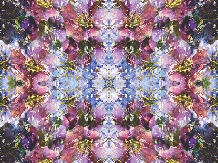Giverny photo on aluminium 