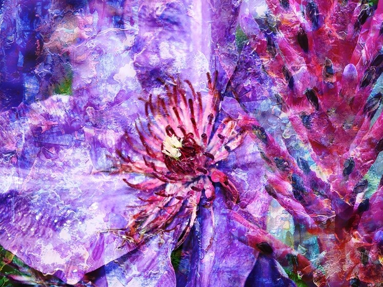 Impossible Flowers scarfs