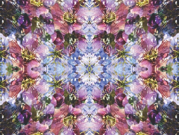 Impossible Flowers scarfs