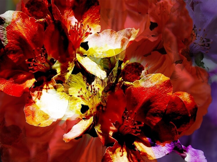 Impossible Flowers scarfs