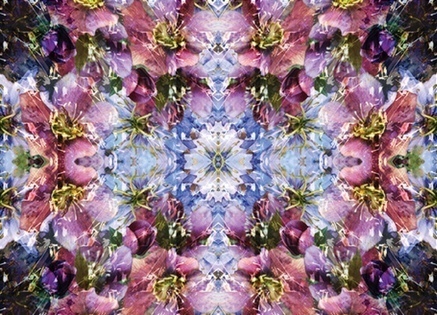 Giverny card